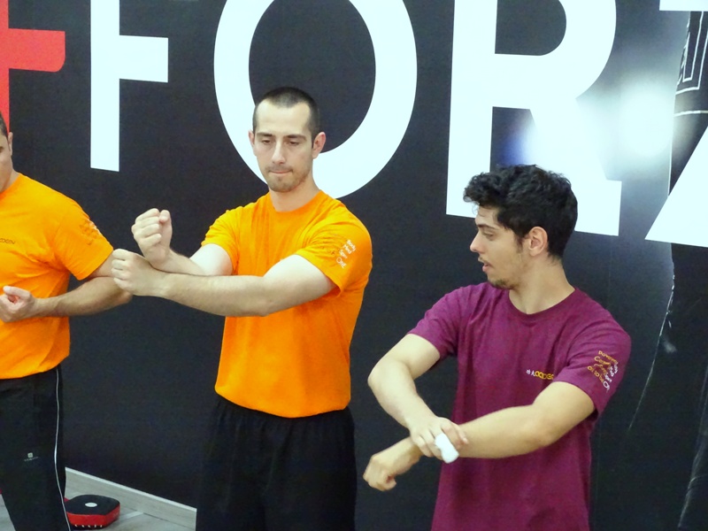 Kung Fu Academy di Sifu Mezzone scuola di wing chun e taijiquan, di wing tsun, difesa personale e arti marziali cinesi a Caserta e in Italia www.kungfuitalia.it (1)